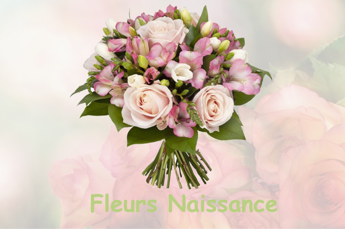 fleurs naissance ROMAGNIEU