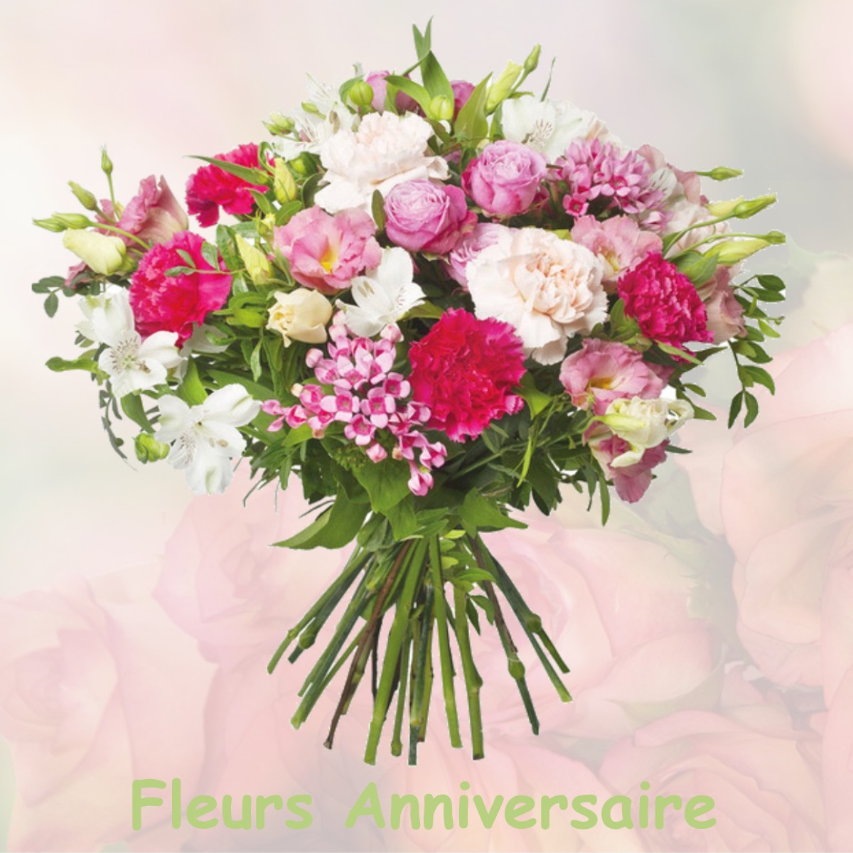 fleurs anniversaire ROMAGNIEU