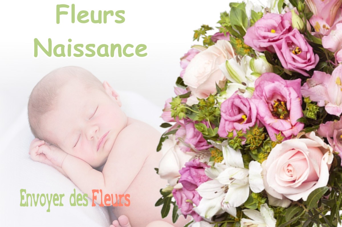 lIVRAISON FLEURS NAISSANCE à ROMAGNIEU